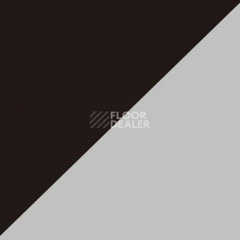 Линолеум Apoluza SportFloor PVC Dance Duo Dance Duo фото 1 | FLOORDEALER
